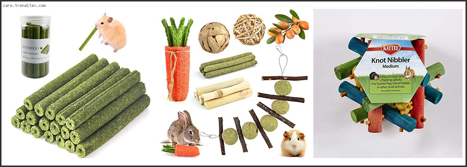 Best Chew Toys For Rabbits