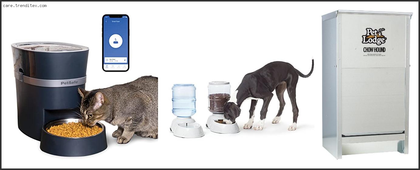Best Automatic Dog Feeder For Large Dogs