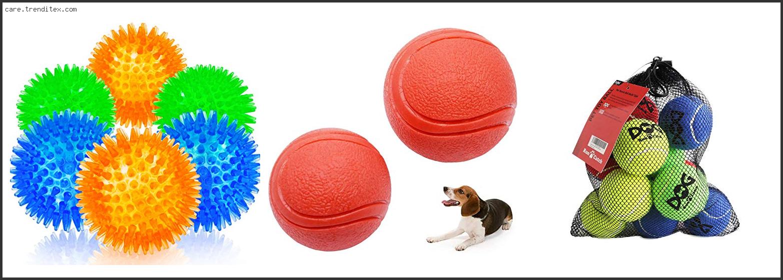 Best Tennis Balls For Dogs That Chew