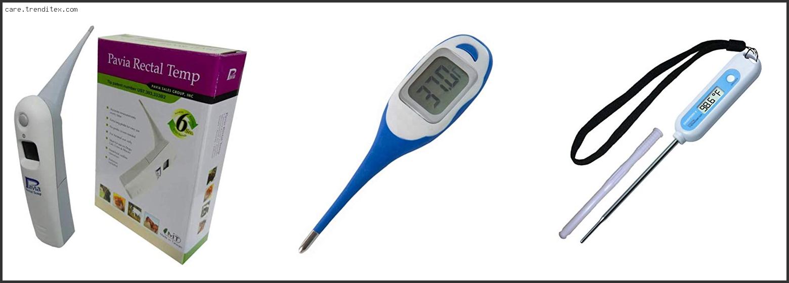 Best Horse Digital Thermometer