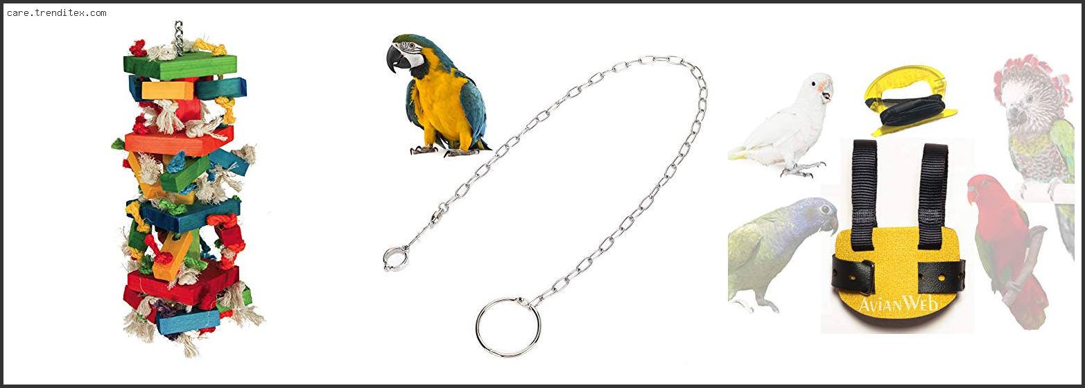 Best Macaw Harness