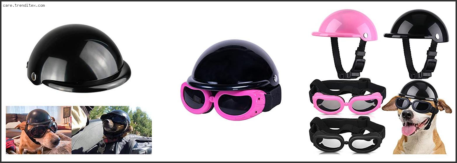 Best Dog Goggles For Motorcycle