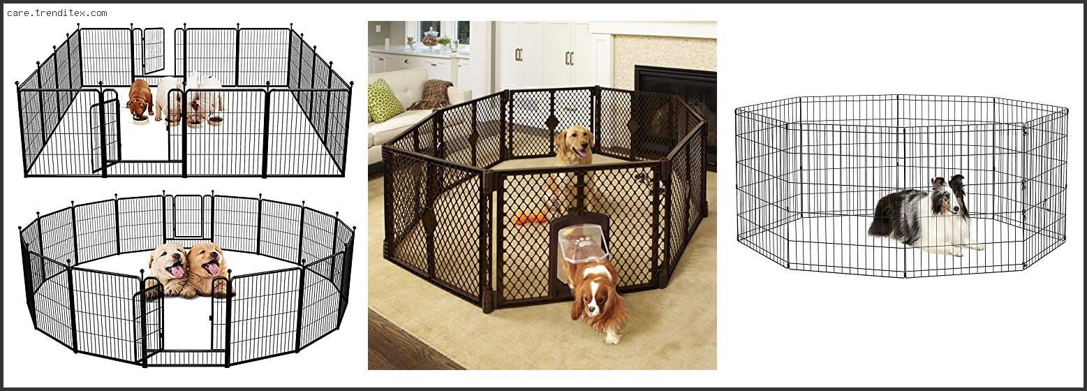 Best Dog Playpen Indoor