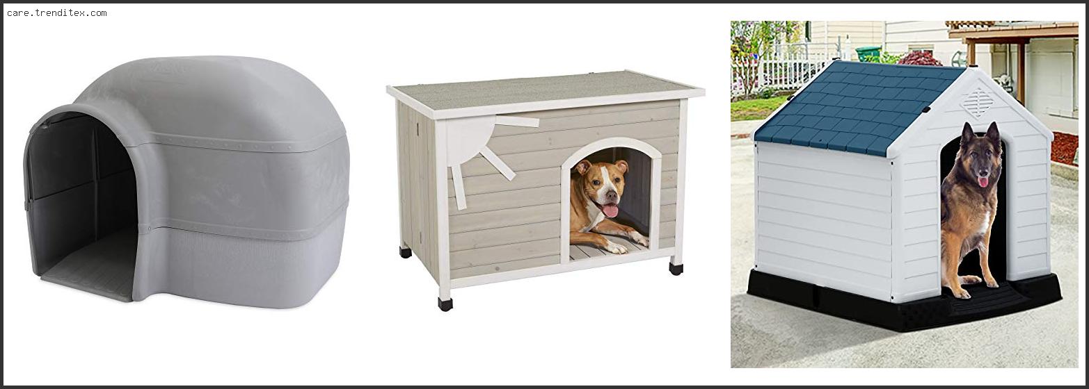 Best Outdoor Dog House For Winter