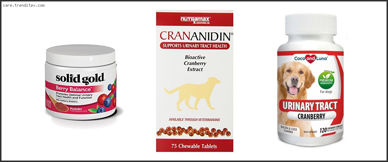 Best Urinary Supplement For Dogs