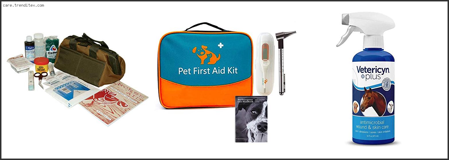 Best Horse First Aid Kit