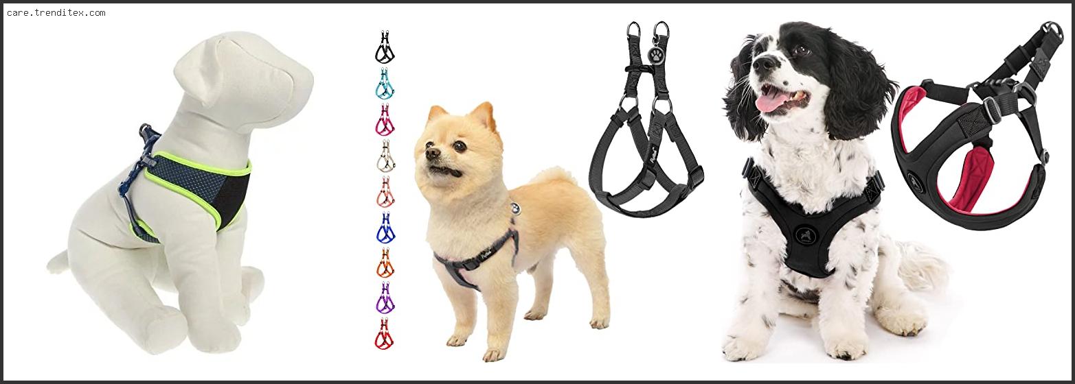 Best Dog Harness For Collapsed Trachea