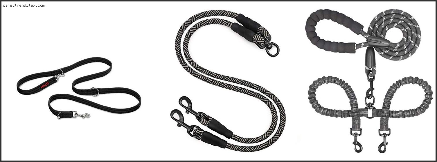 Best Double Leash For Dogs