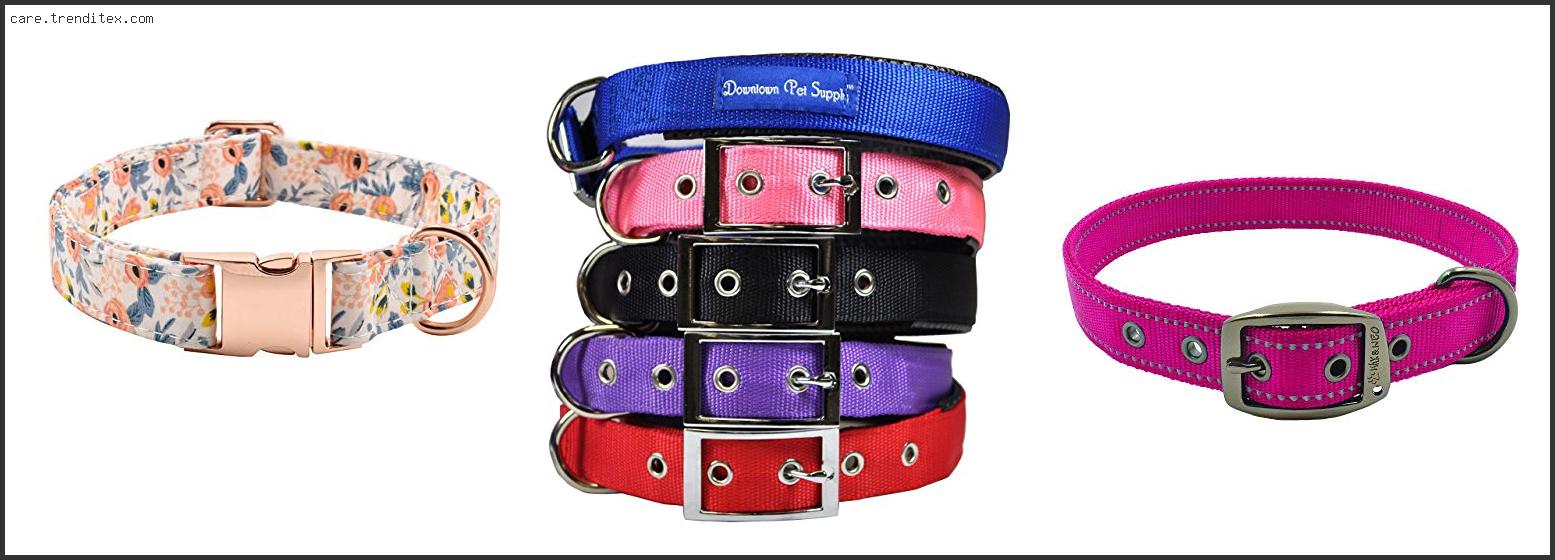 Best Dog Collar Buckle