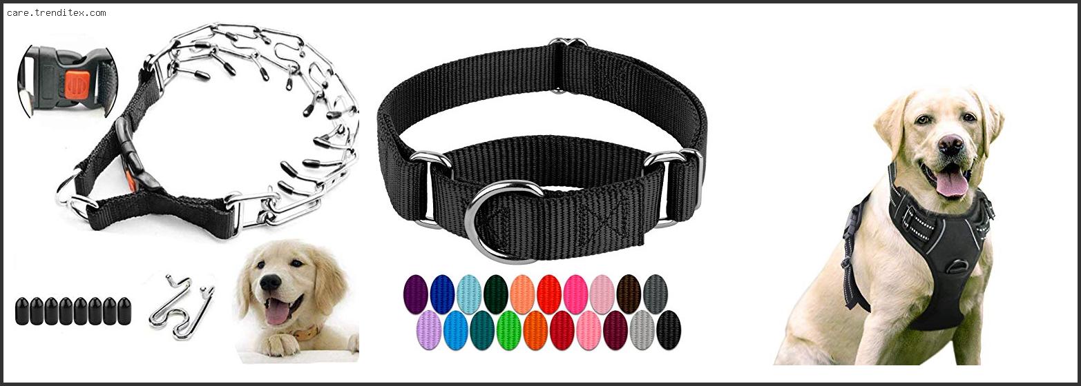 Best No Pull Collar For Dogs