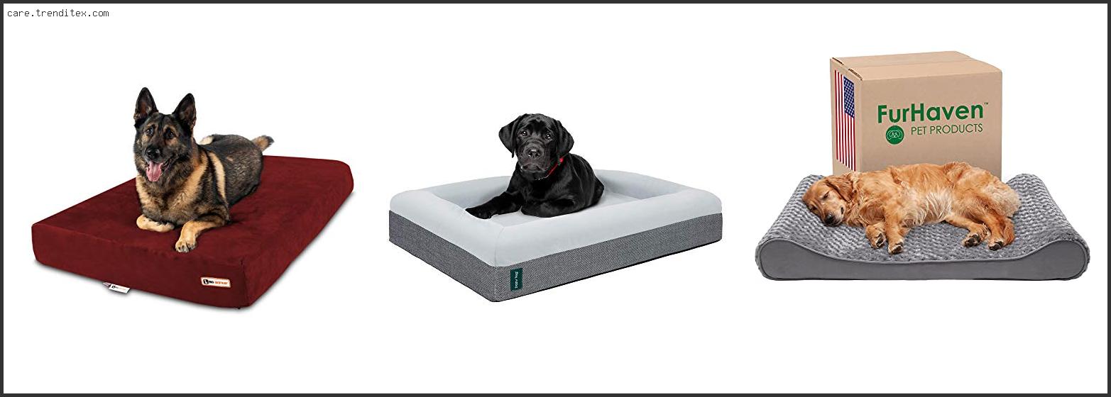 Best Dog Bed For Senior Dogs With Arthritis