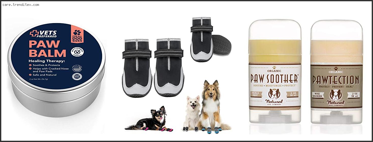 Best Paw Protection For Dogs