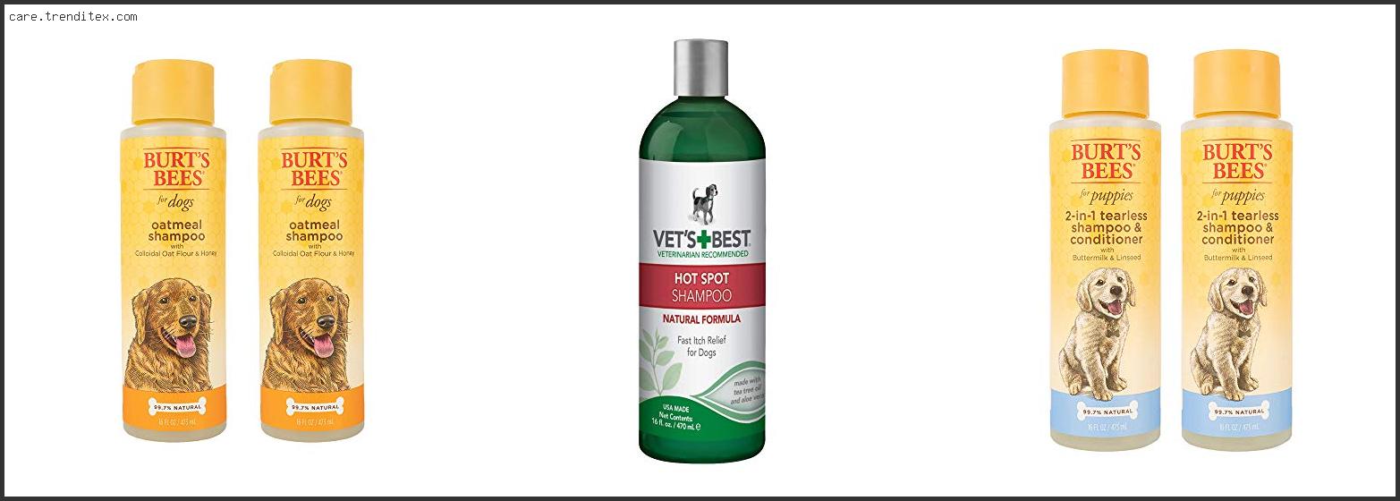 Best Shampoo For Pitbull Dogs