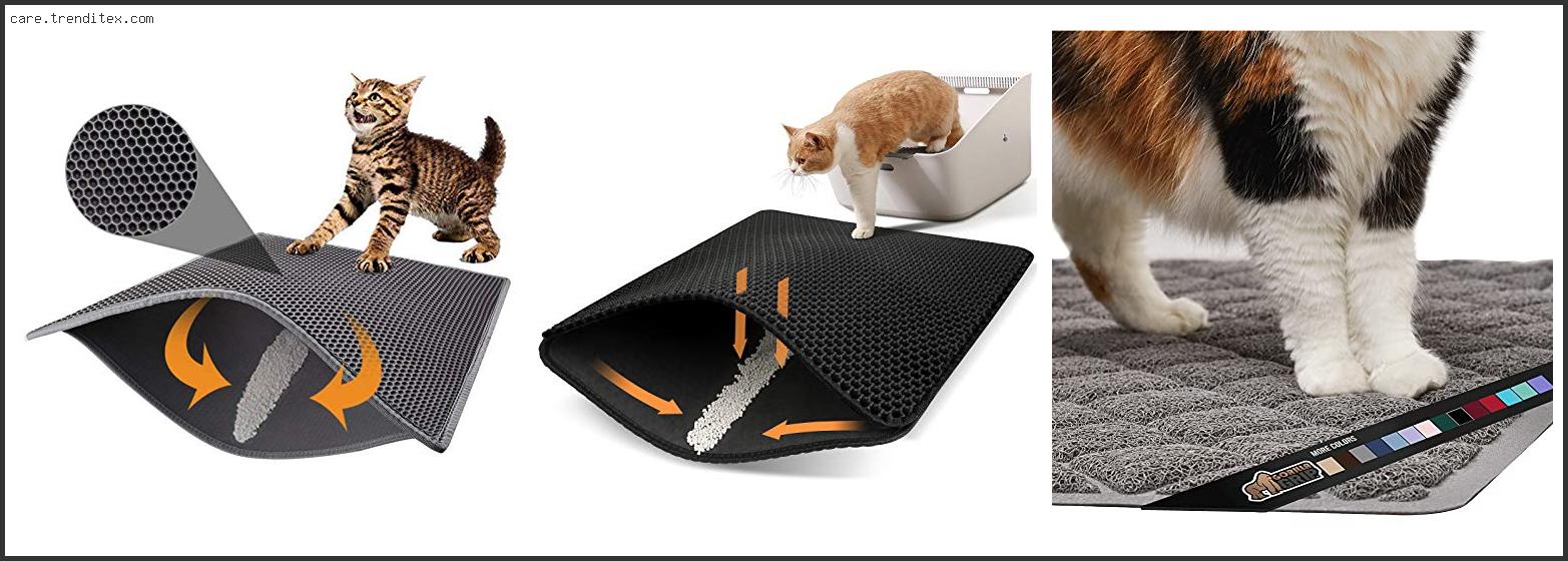 Best Cat Litter Tracking Mat