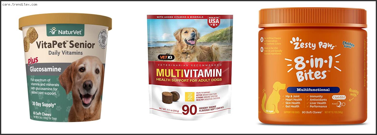 Best Vitamin Supplements For Senior Dogs