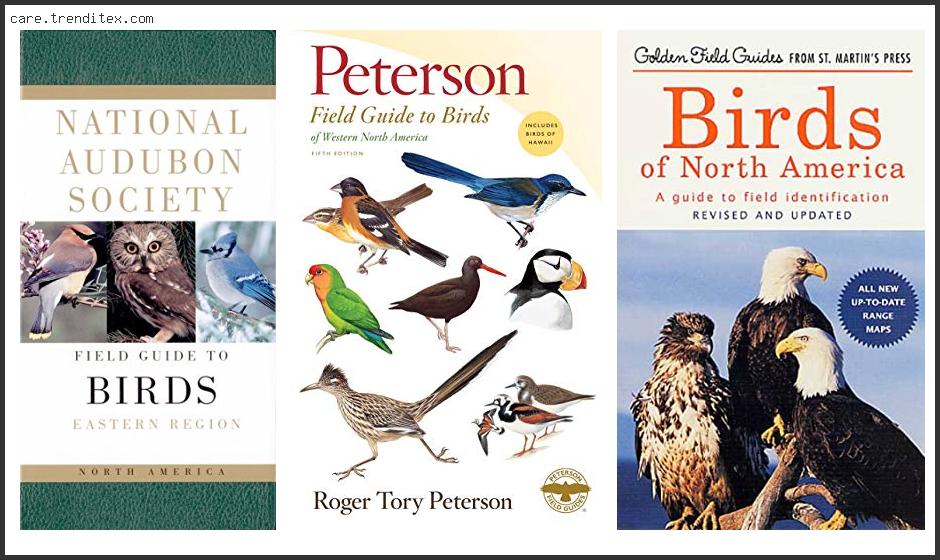 Best Bird Field Guide