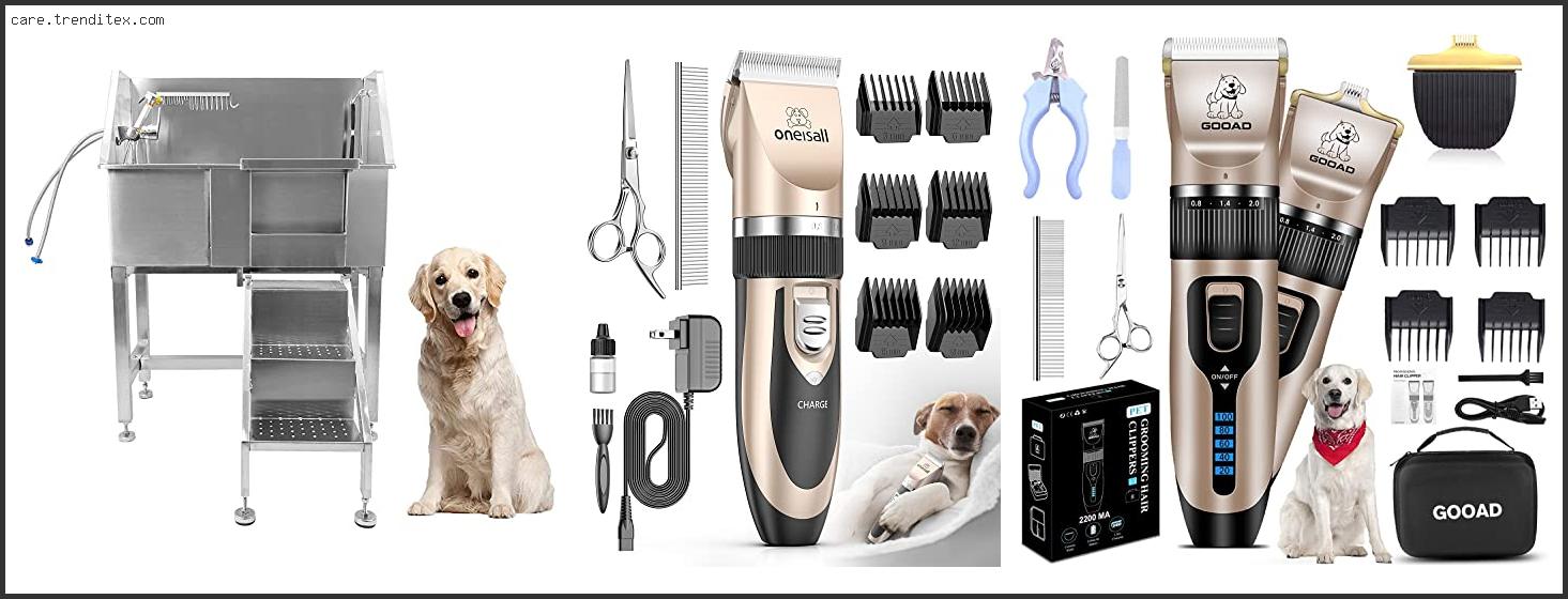 Best Grooming For Dogs