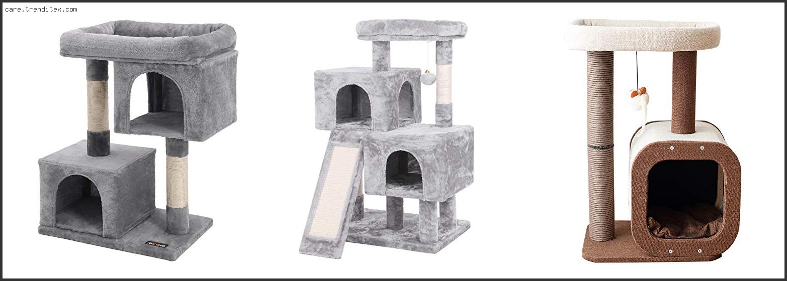 Best Cat Tree For Fat Cats