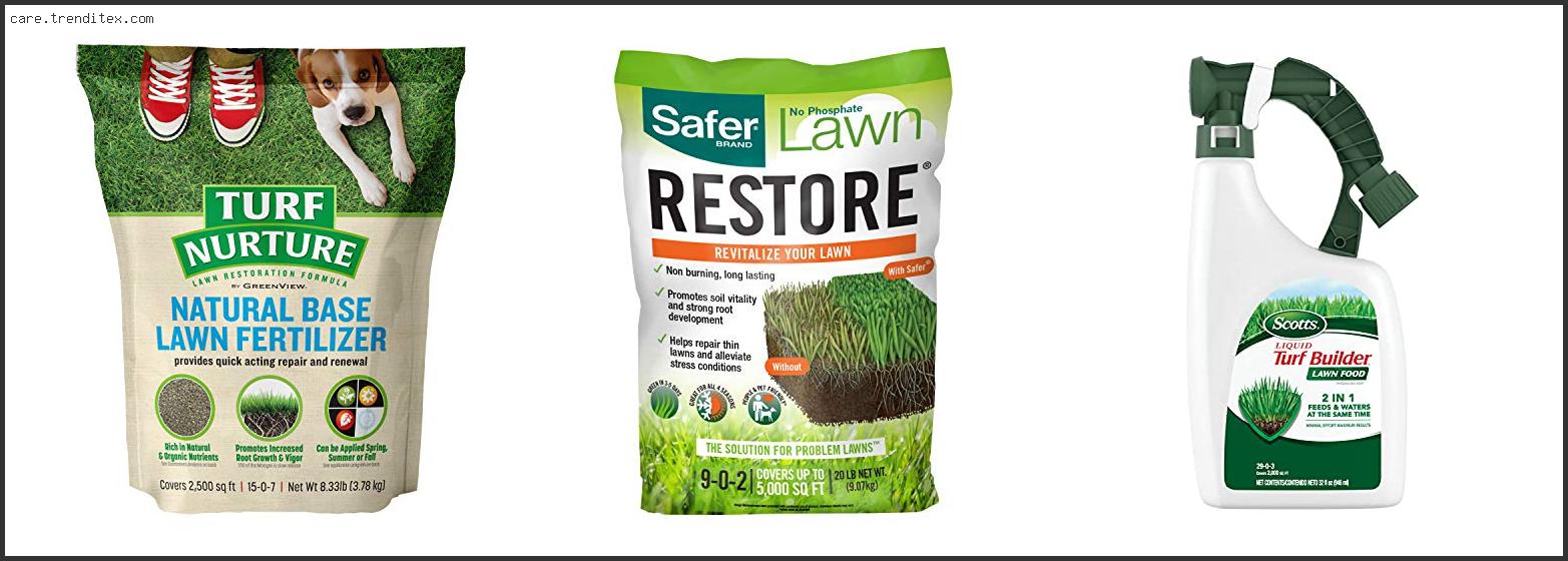 Best Fertilizer For Lawns With Dogs