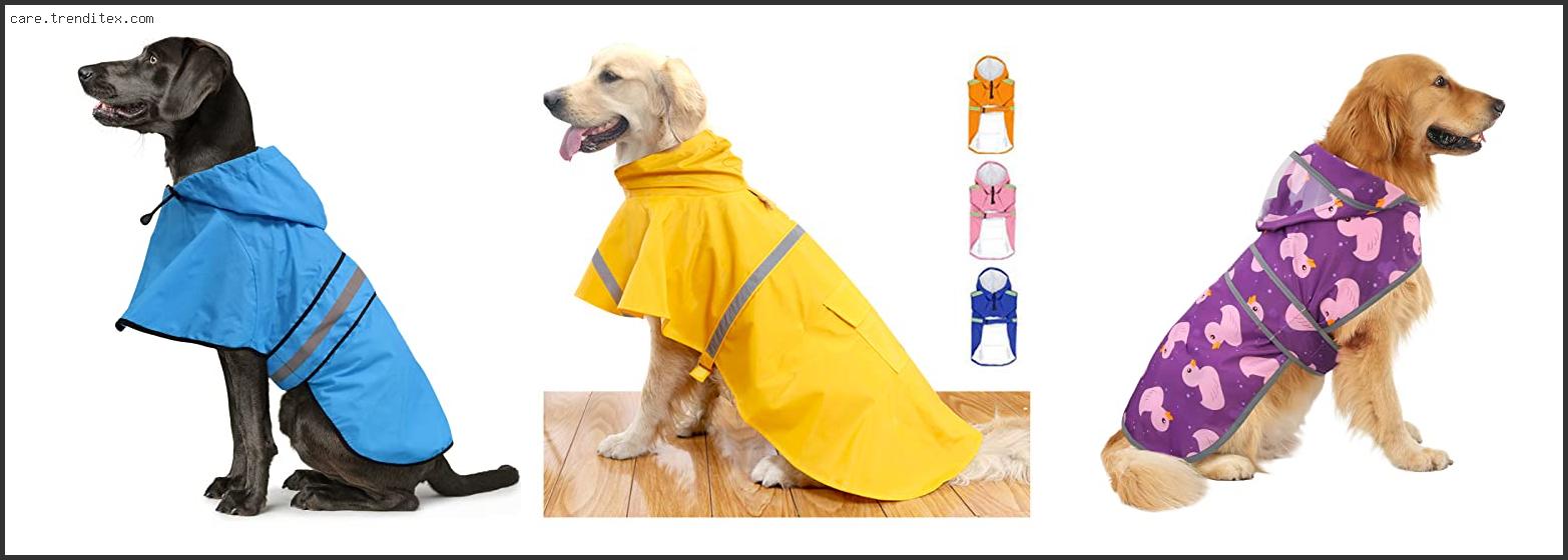 Best Raincoat For Large Dogs
