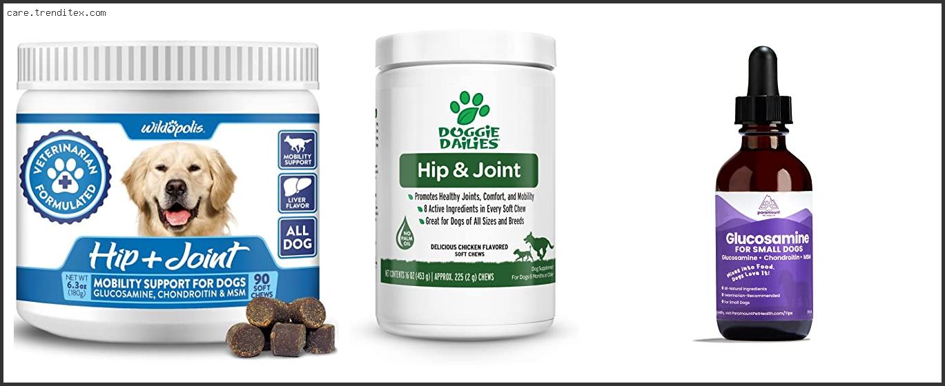Best Glucosamine For Small Dogs