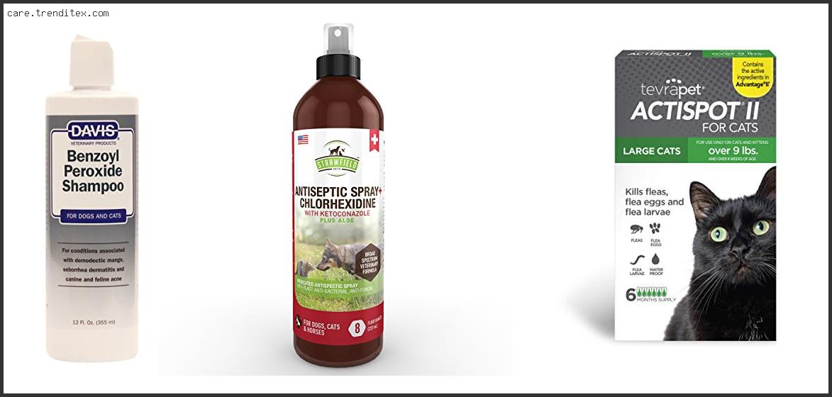 Best Cat Shampoo For Mites