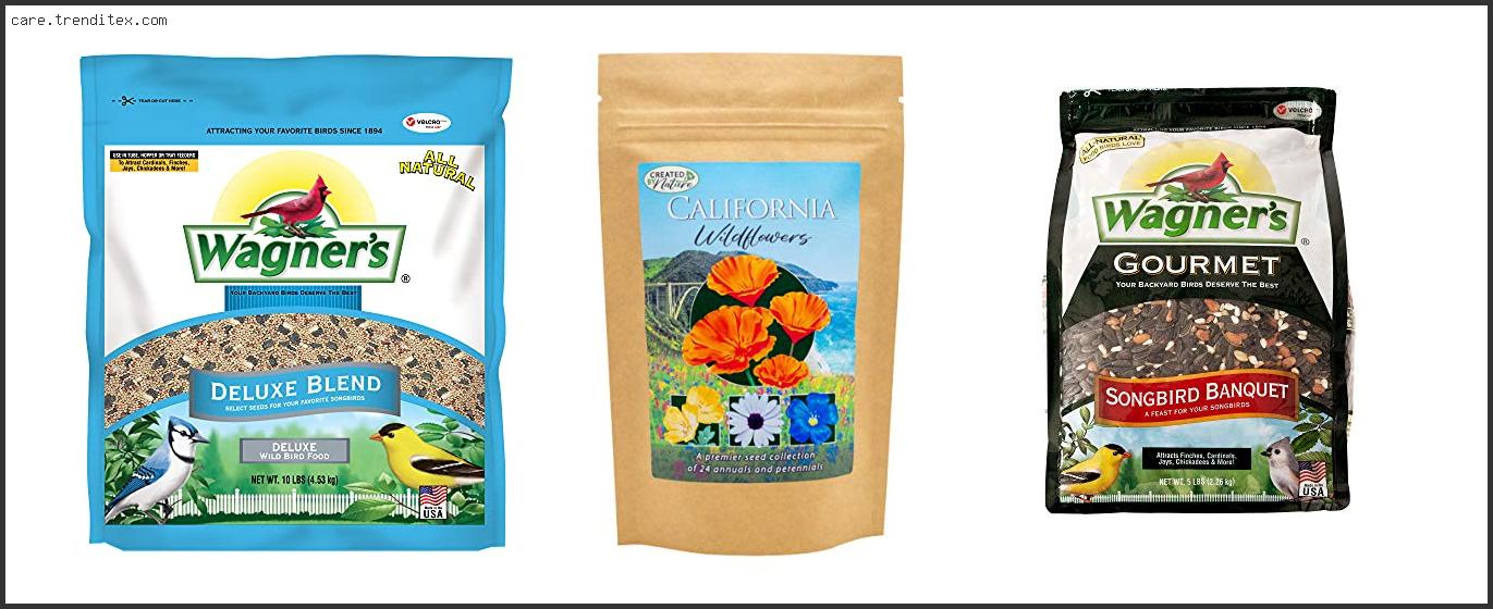 Best Bird Seed For Southern California