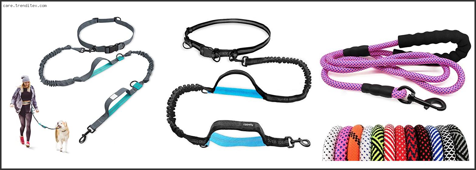 Best Dog Leash For Hiking