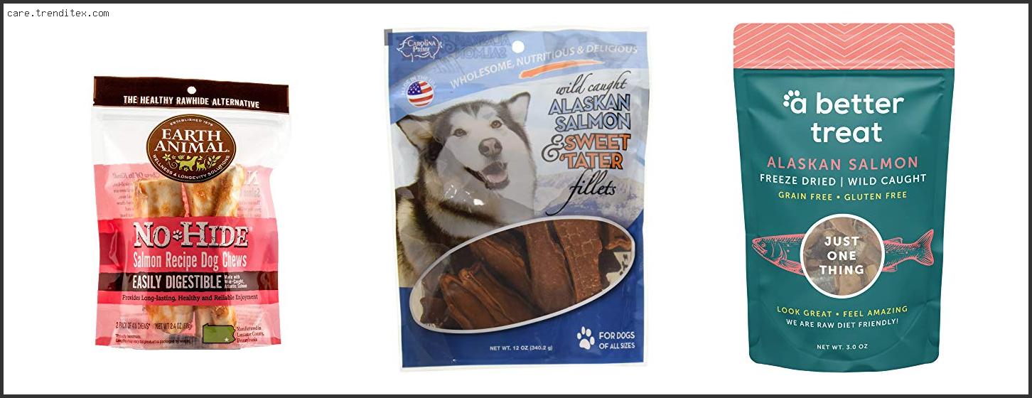 Best Salmon Dog Treats