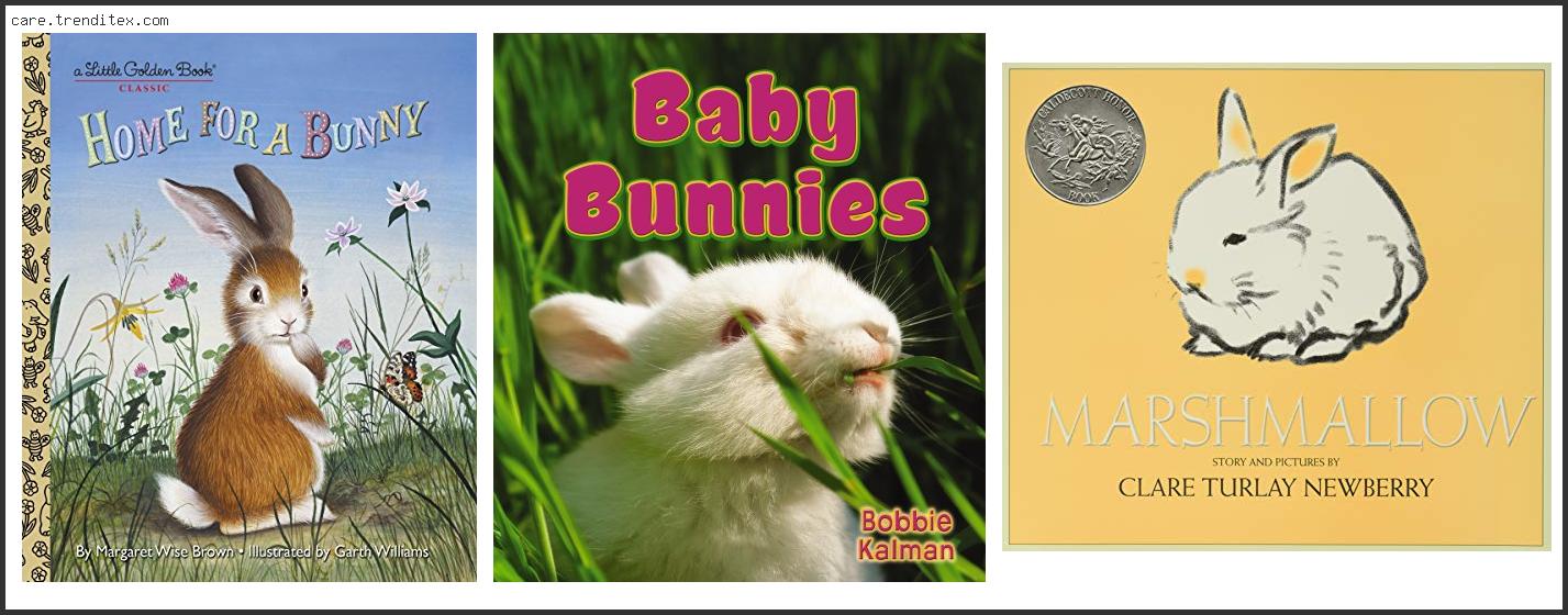 Best Children's Books About Rabbits
