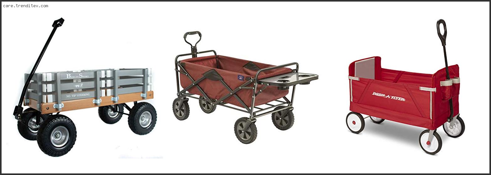 Best Wagon For Dogs