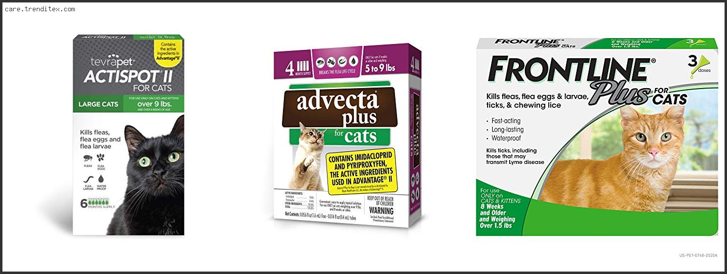 Best Flee Medicine For Cats