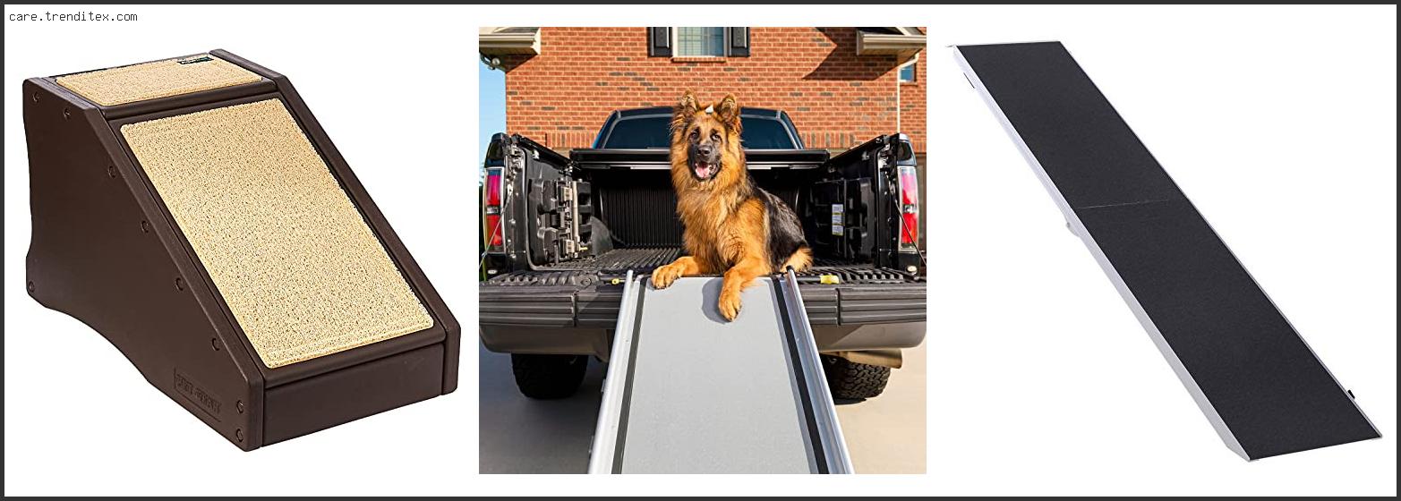 Best Dog Ramps For Couch