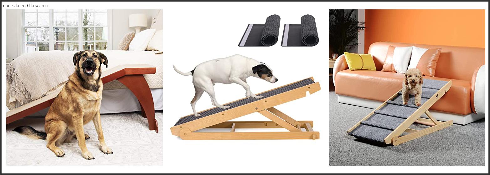 Best Dog Ramps For Small Dogs
