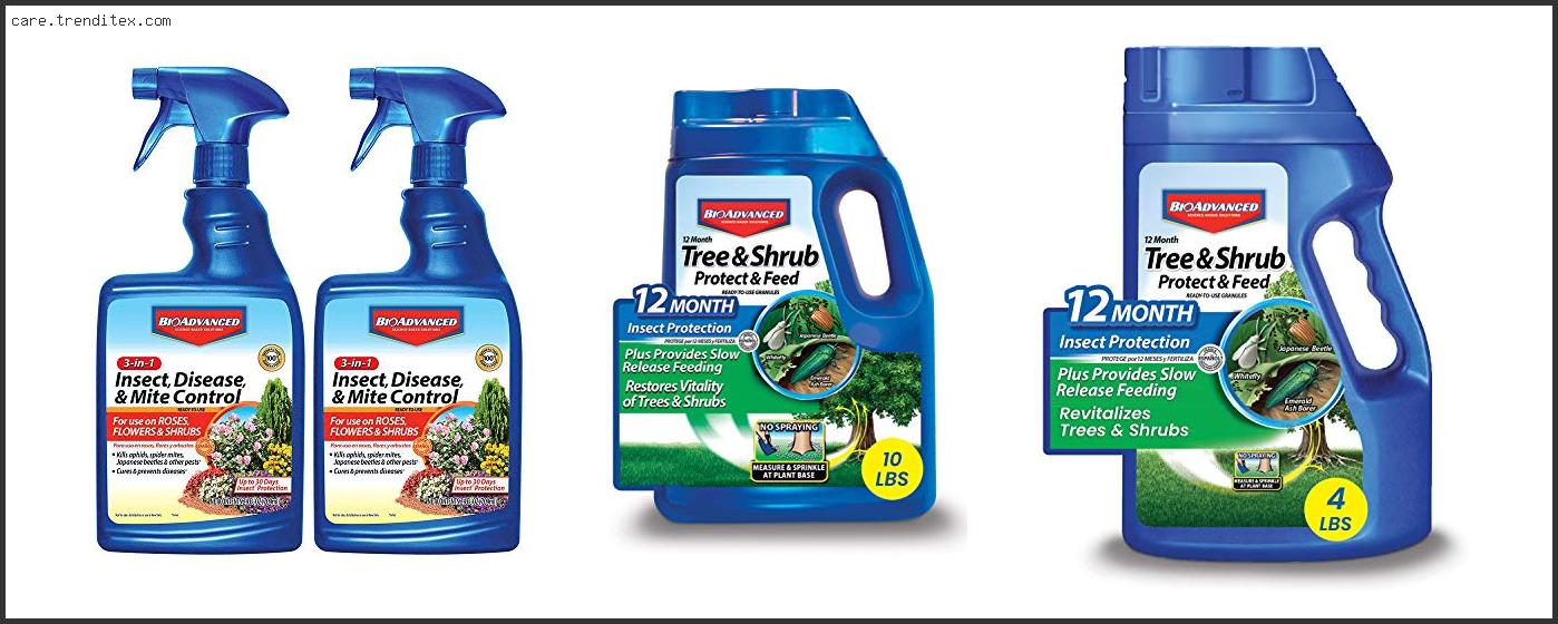 Best Insecticide For Shrubs