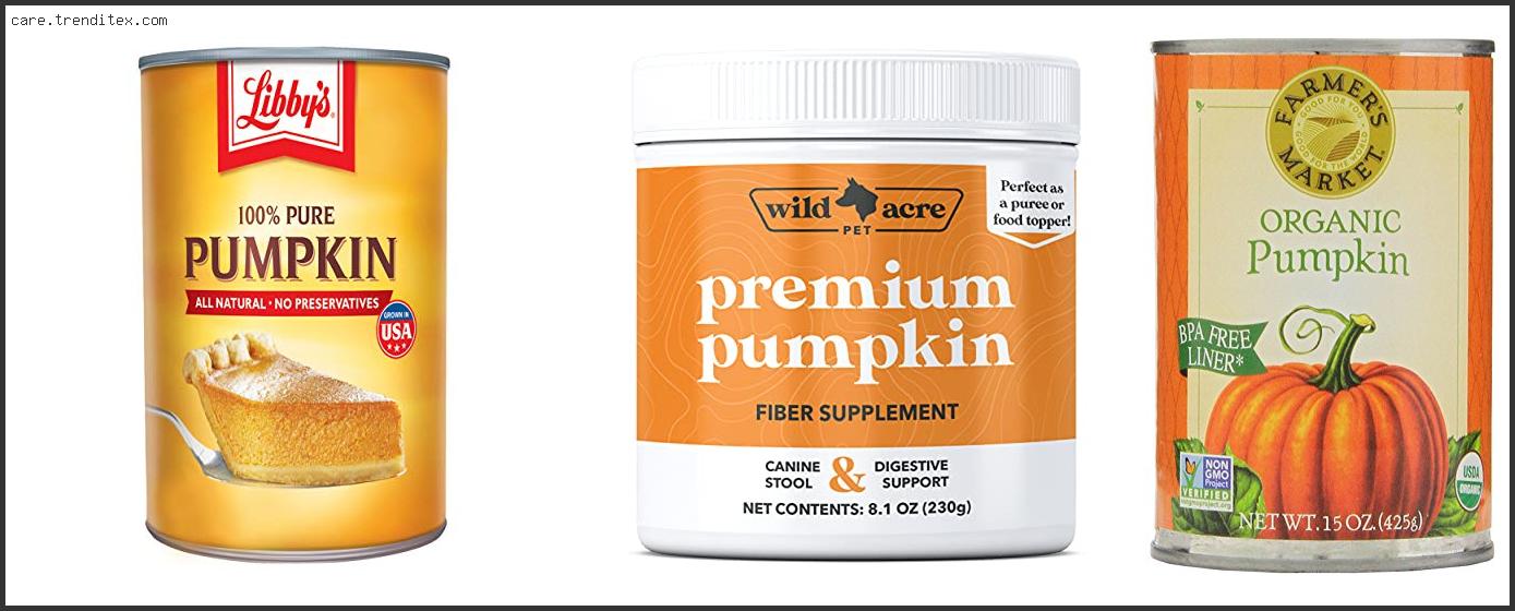 Best Canned Pumpkin For Dogs