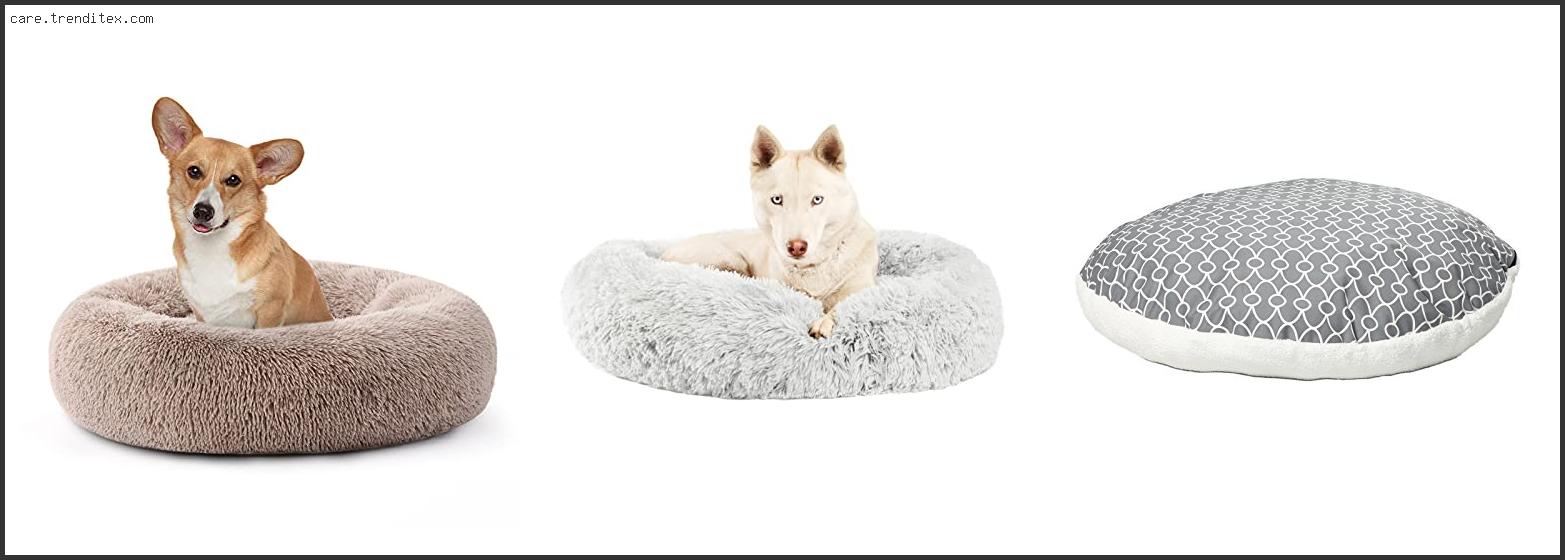 Best Round Dog Beds