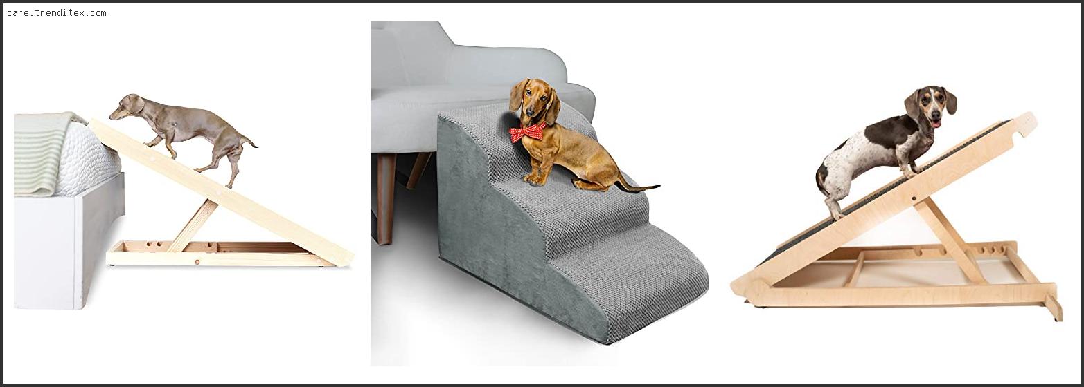 Best Dog Ramp For Couch