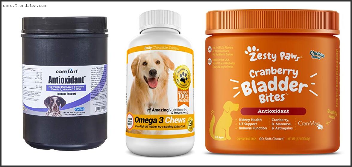 Best Antioxidants For Dogs