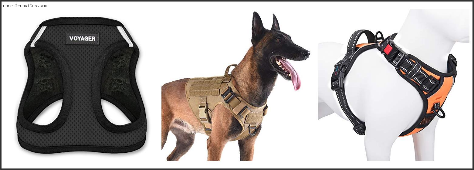 Best Selling Dog Harness