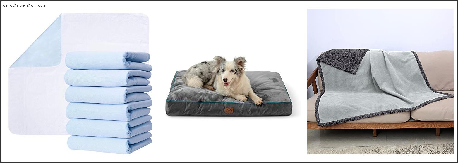 Best Dog Bed For Potty Training