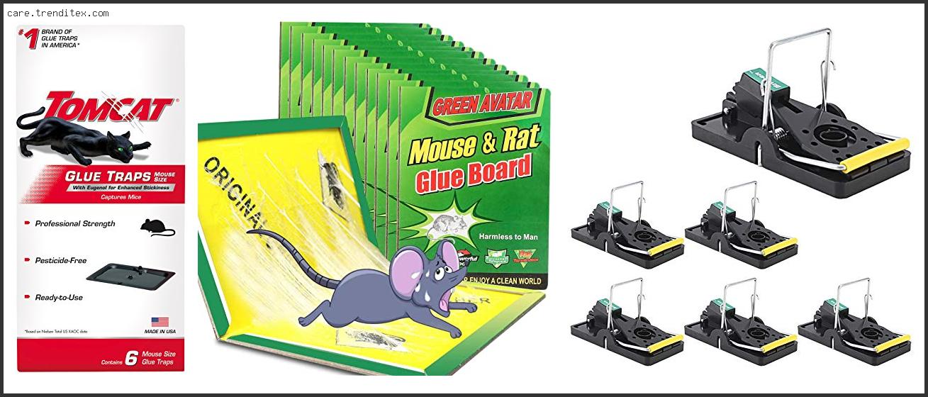 Best Traps For Mice And Rats