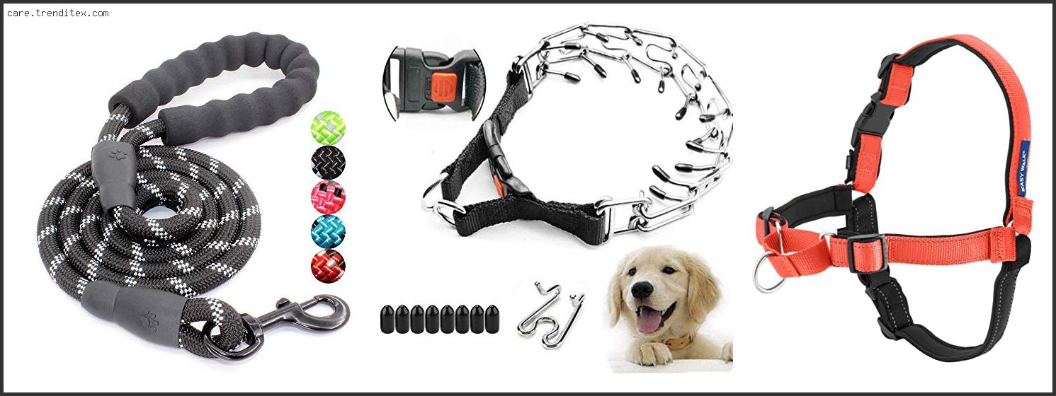 Best Leash For Pulling Dogs