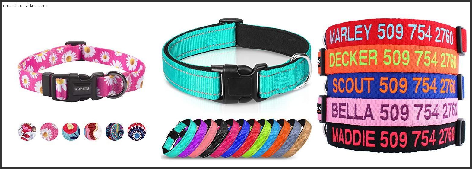 Best Dog Collars For Small Dogs