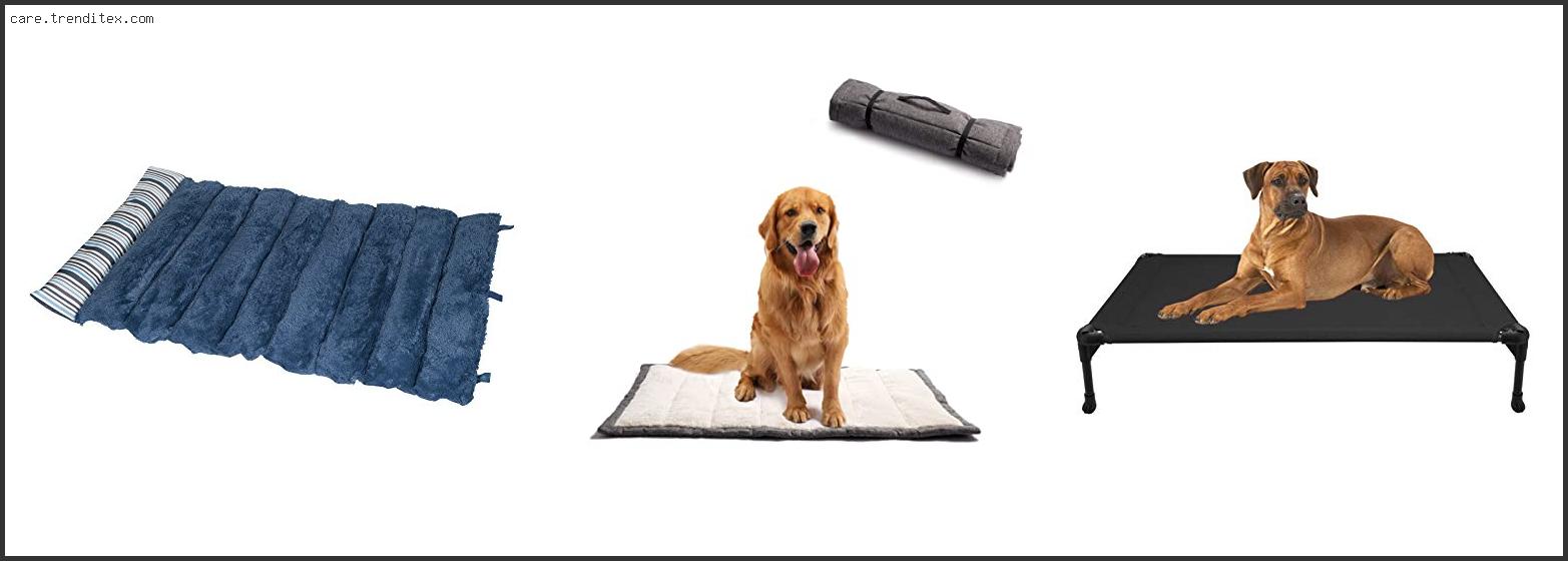 Best Portable Dog Bed