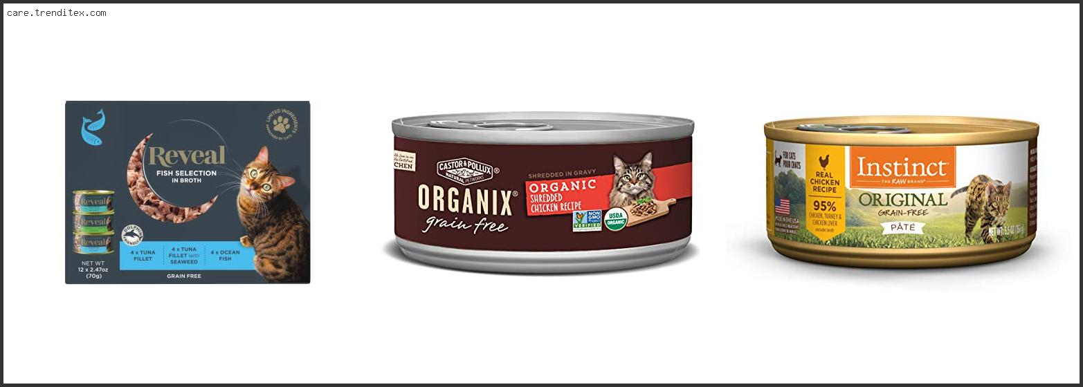 Best Organic Wet Cat Food