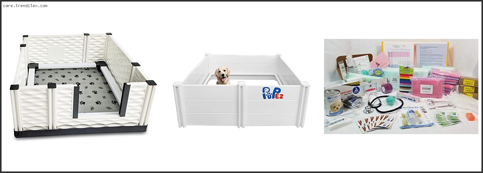 Best Whelping Box For Dogs