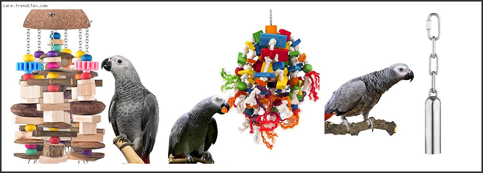 Best African Grey Parrot Toys