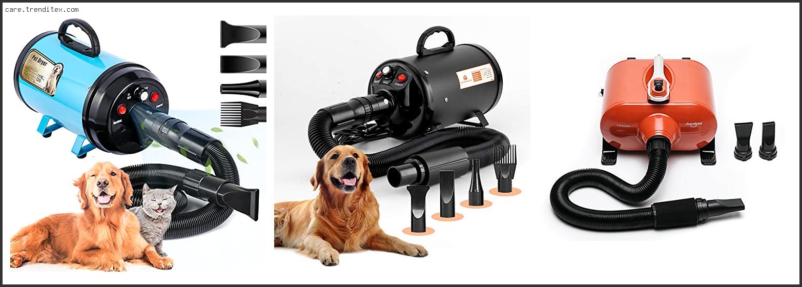 Best Dog Coat Blower