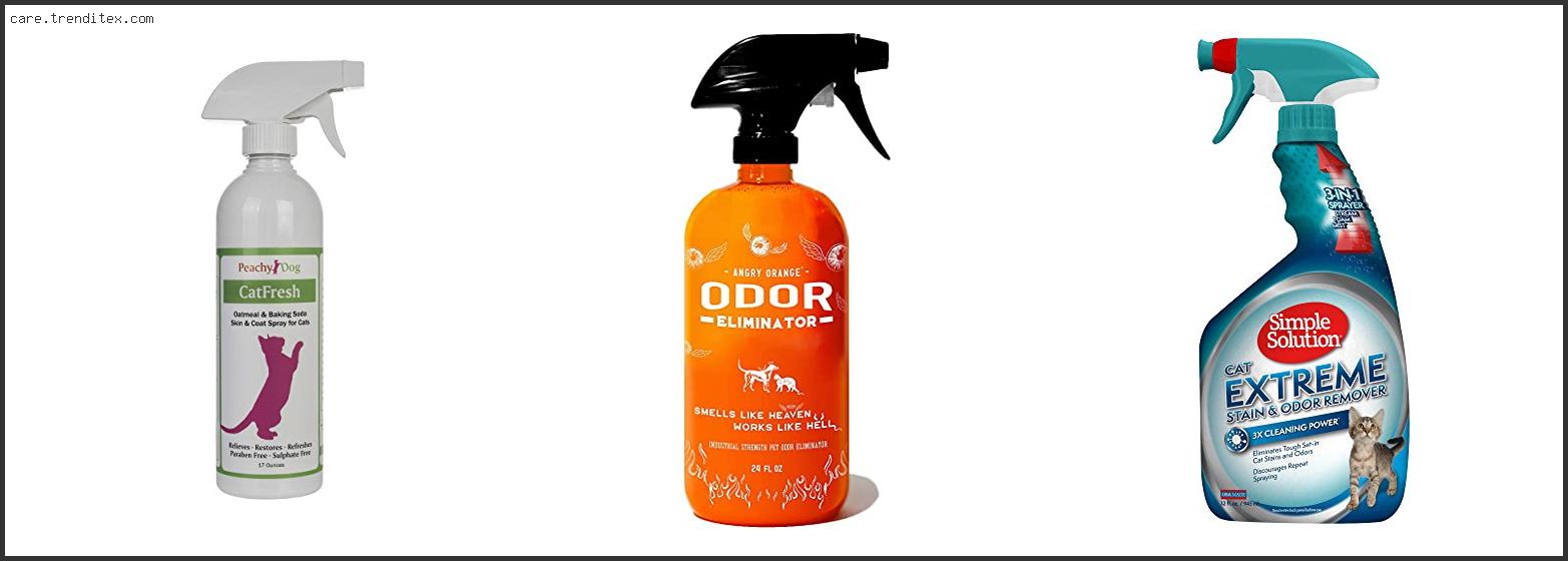 Best Cat Spray Remover